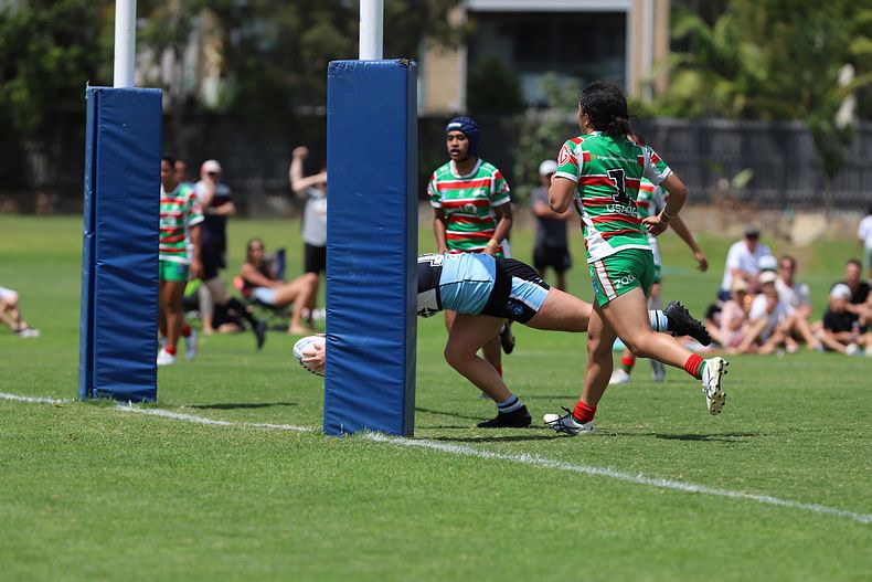 HNWP Rnd 5 SHARKS vs RABBITOHS