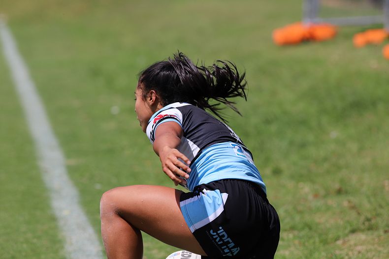 HNWP Rnd 5 SHARKS vs RABBITOHS