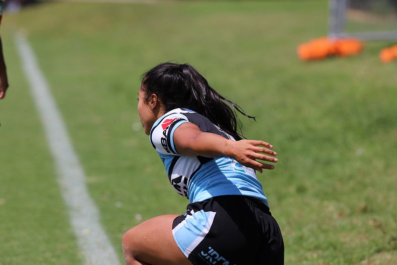 HNWP Rnd 5 SHARKS vs RABBITOHS