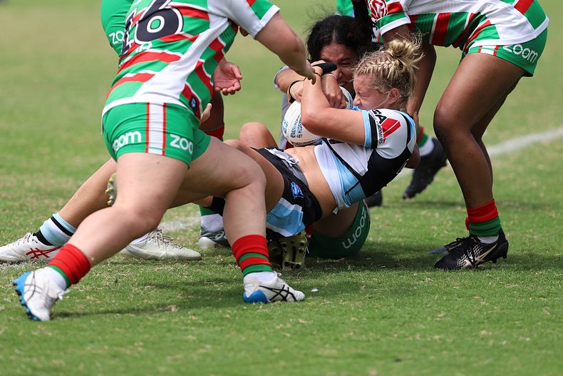 HNWP Rnd 5 SHARKS vs RABBITOHS