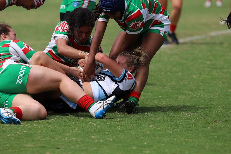 HNWP Rnd 5 SHARKS vs RABBITOHS