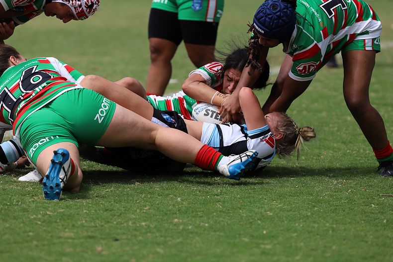 HNWP Rnd 5 SHARKS vs RABBITOHS