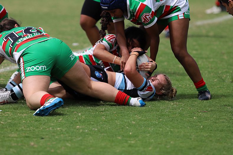HNWP Rnd 5 SHARKS vs RABBITOHS
