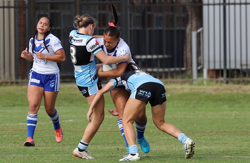 TGC Rnd 8 SHARKS vs BULLDOGS