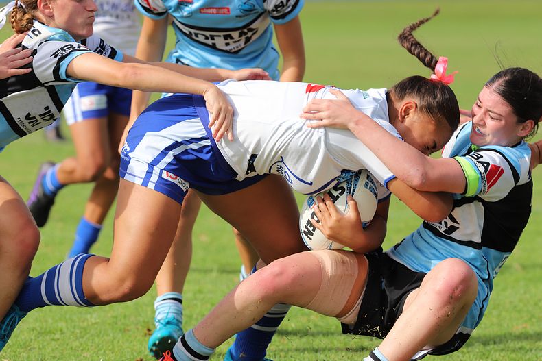 TGC Rnd 8 SHARKS vs BULLDOGS