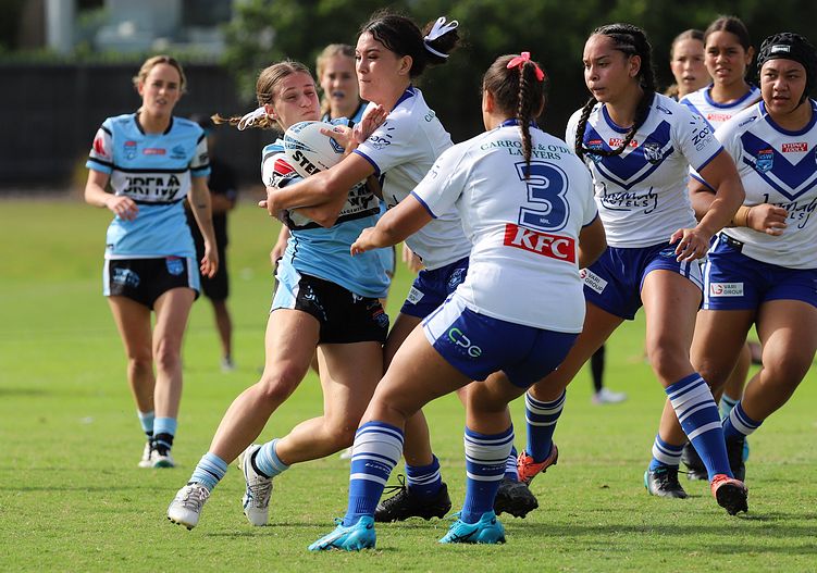 TGC Rnd 8 SHARKS vs BULLDOGS