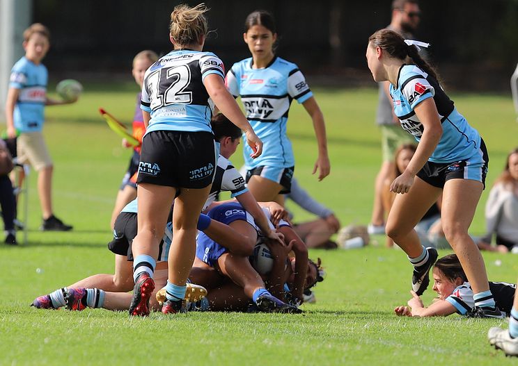 TGC Rnd 8 SHARKS vs BULLDOGS