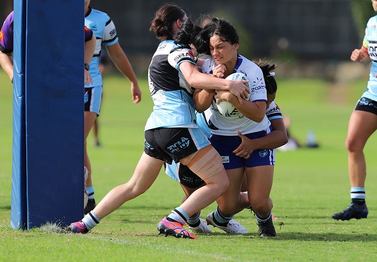 TGC Rnd 8 SHARKS vs BULLDOGS