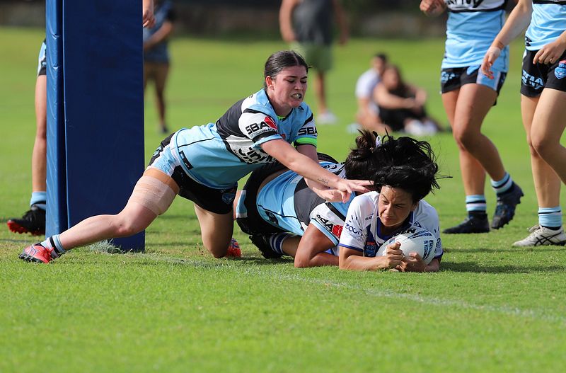 TGC Rnd 8 SHARKS vs BULLDOGS