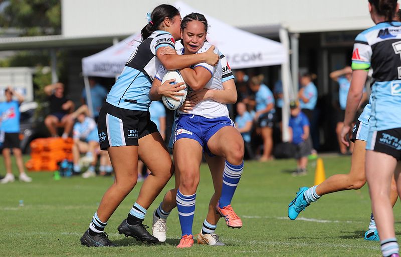 TGC Rnd 8 SHARKS vs BULLDOGS