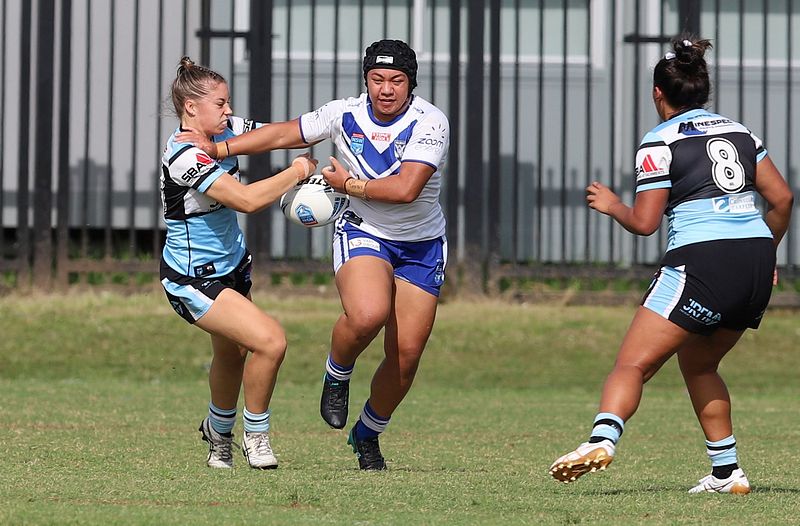 TGC Rnd 8 SHARKS vs BULLDOGS