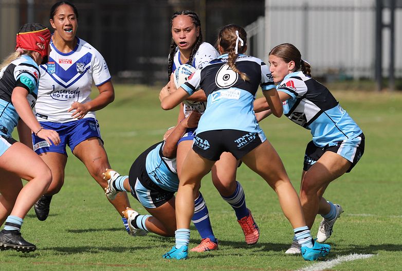 TGC Rnd 8 SHARKS vs BULLDOGS