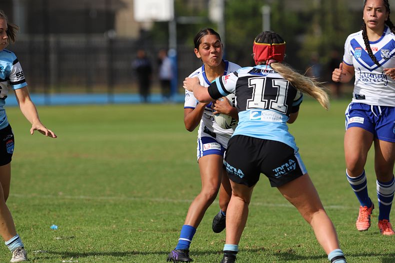 TGC Rnd 8 SHARKS vs BULLDOGS
