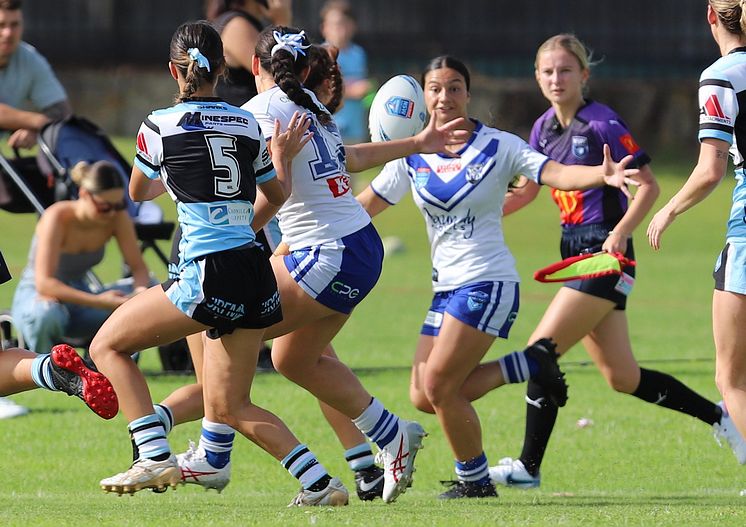 TGC Rnd 8 SHARKS vs BULLDOGS