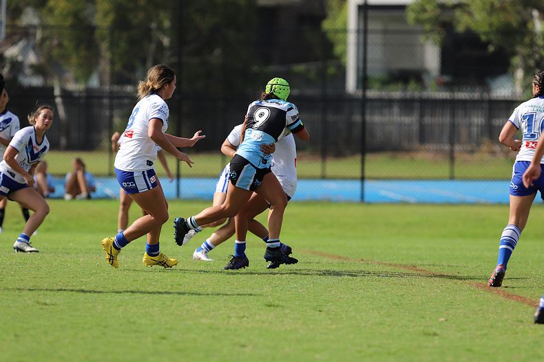 TGC Rnd 8 SHARKS vs BULLDOGS