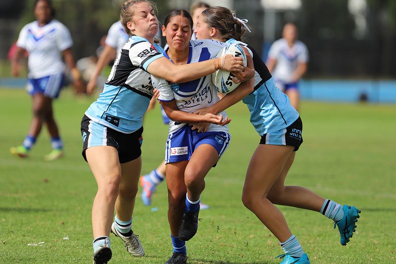 TGC Rnd 8 SHARKS vs BULLDOGS