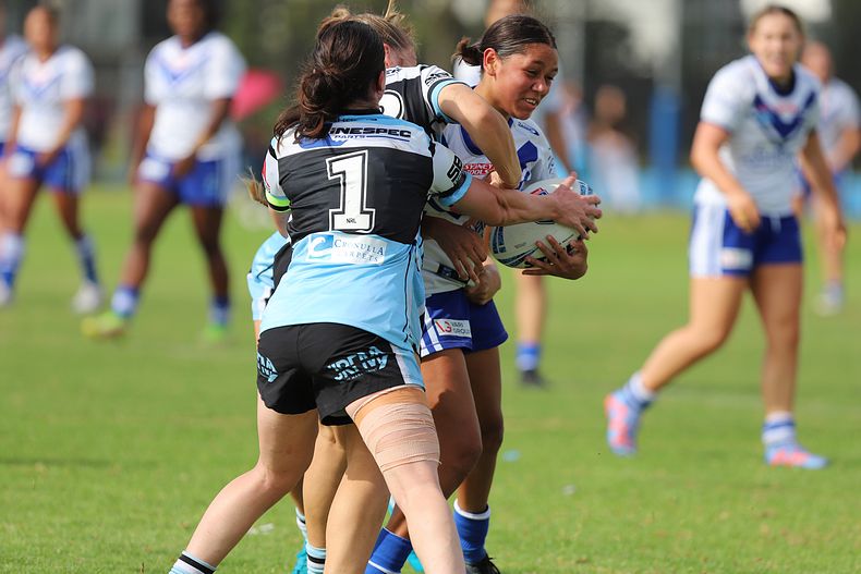 TGC Rnd 8 SHARKS vs BULLDOGS