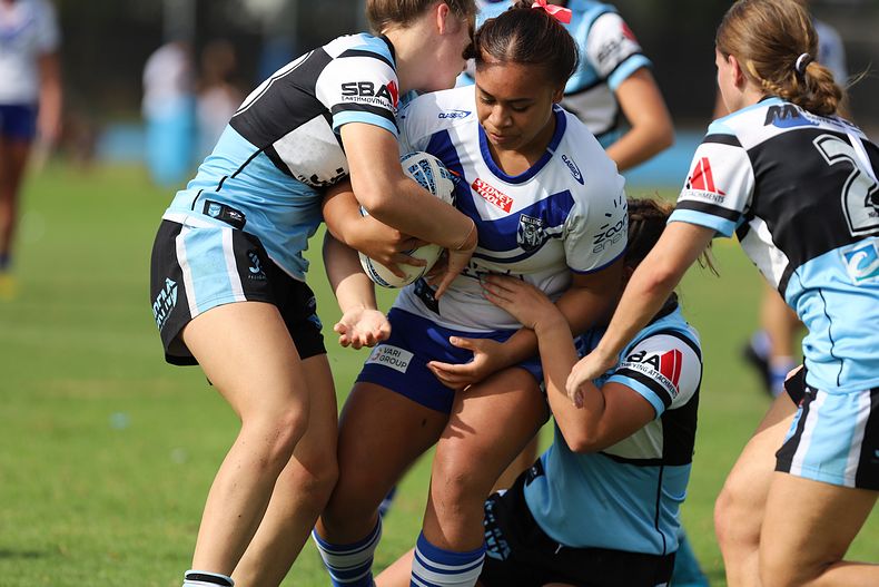 TGC Rnd 8 SHARKS vs BULLDOGS