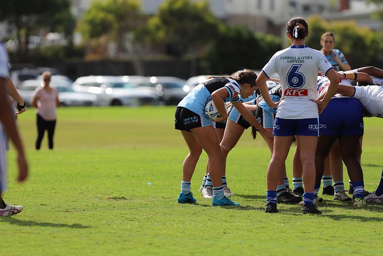 TGC Rnd 8 SHARKS vs BULLDOGS