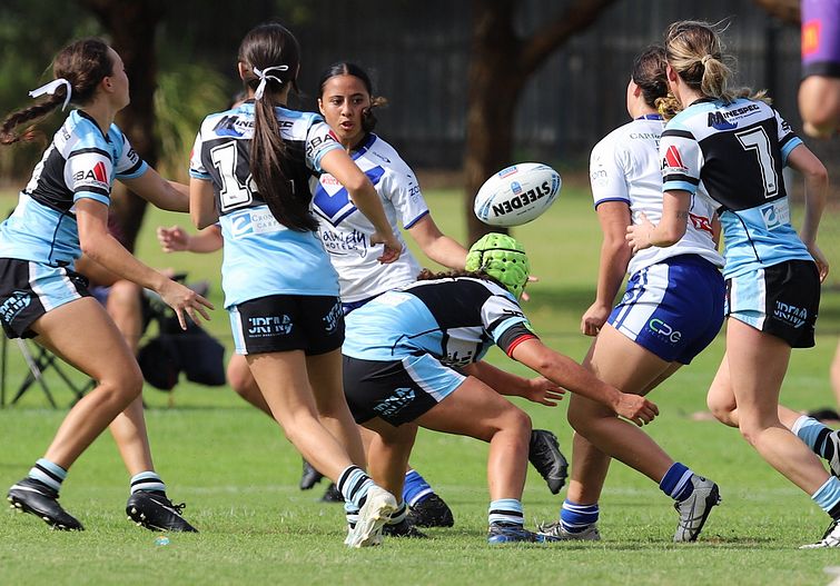 TGC Rnd 8 SHARKS vs BULLDOGS