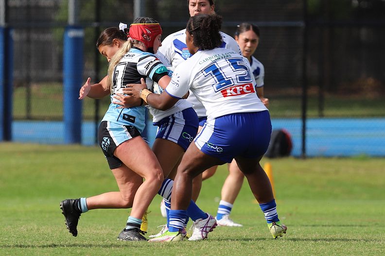 TGC Rnd 8 SHARKS vs BULLDOGS