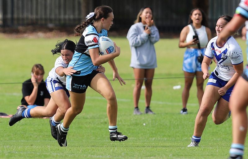 TGC Rnd 8 SHARKS vs BULLDOGS