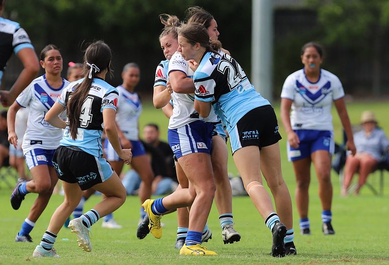 TGC Rnd 8 SHARKS vs BULLDOGS