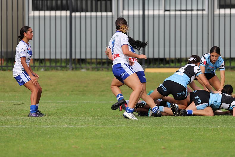 TGC Rnd 8 SHARKS vs BULLDOGS