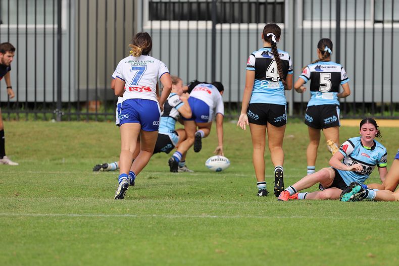 TGC Rnd 8 SHARKS vs BULLDOGS