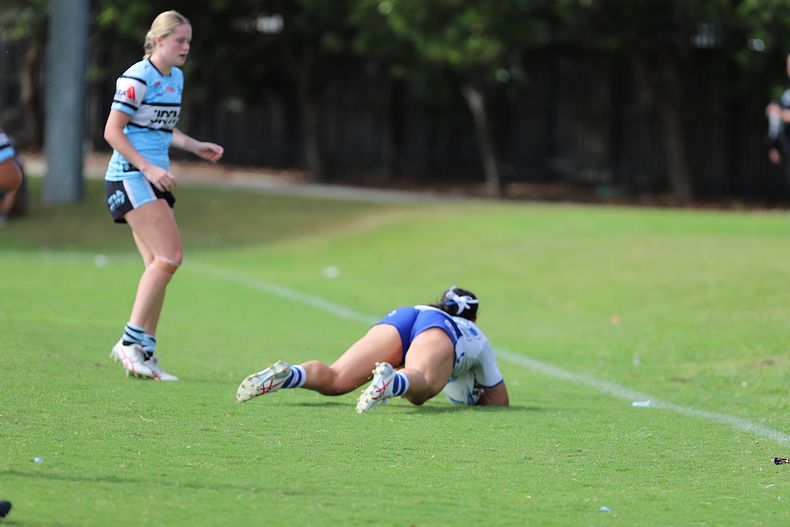 TGC Rnd 8 SHARKS vs BULLDOGS