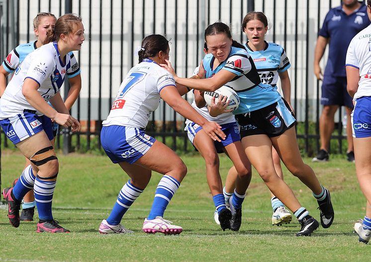 TGC Rnd 8 SHARKS vs BULLDOGS