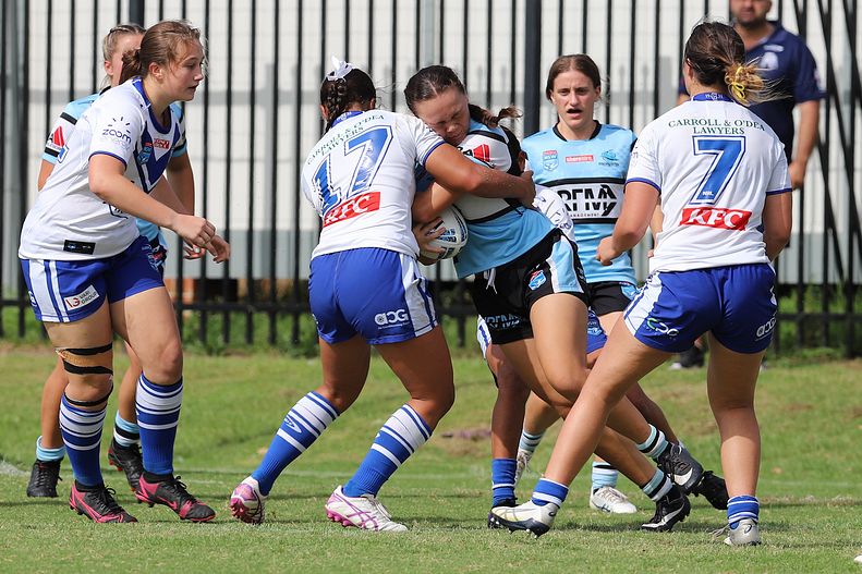 TGC Rnd 8 SHARKS vs BULLDOGS