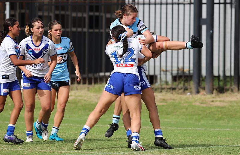 TGC Rnd 8 SHARKS vs BULLDOGS