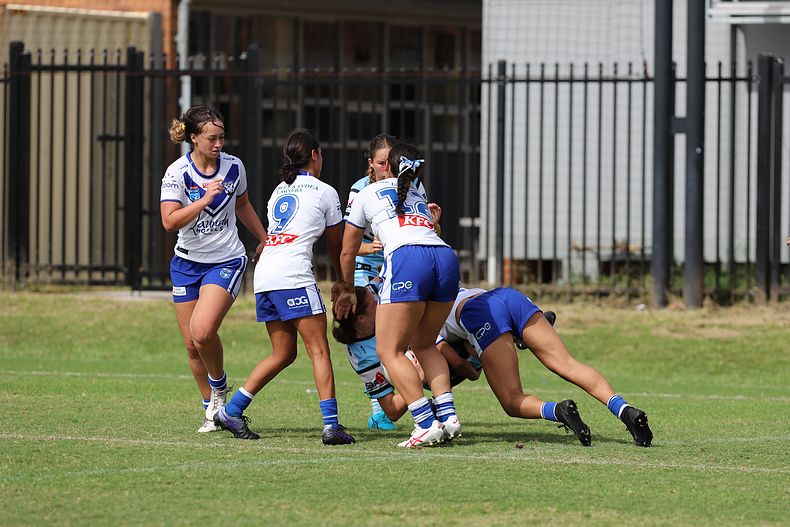 TGC Rnd 8 SHARKS vs BULLDOGS