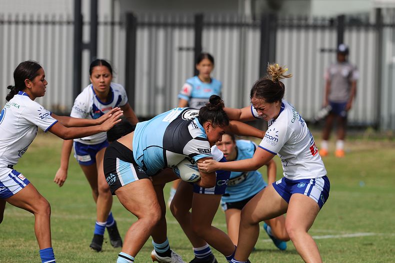 TGC Rnd 8 SHARKS vs BULLDOGS