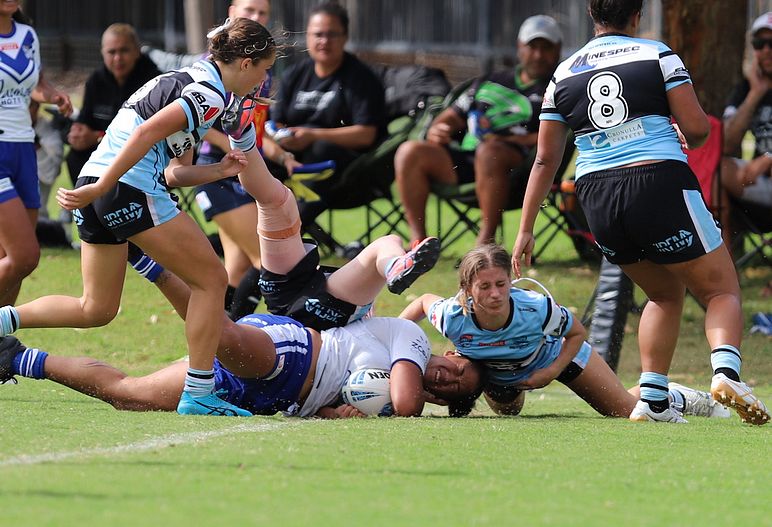 TGC Rnd 8 SHARKS vs BULLDOGS