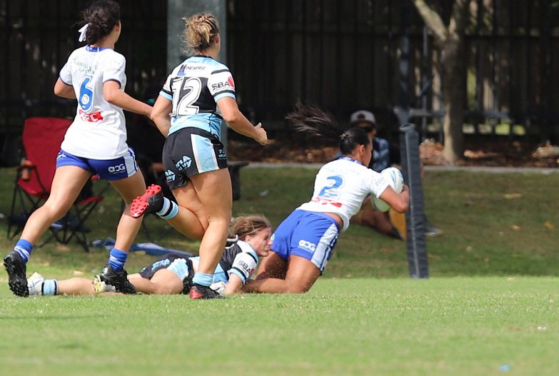 TGC Rnd 8 SHARKS vs BULLDOGS