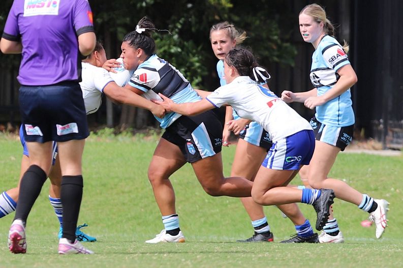 TGC Rnd 8 SHARKS vs BULLDOGS