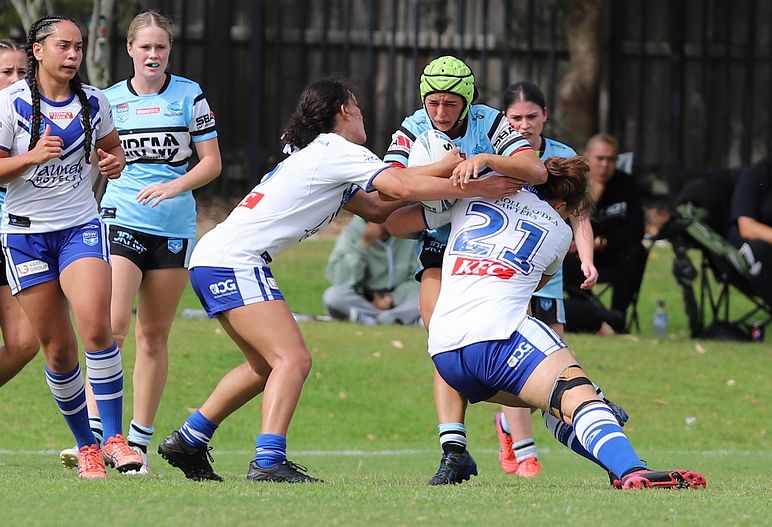 TGC Rnd 8 SHARKS vs BULLDOGS