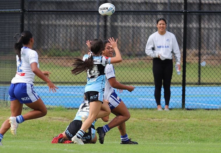 TGC Rnd 8 SHARKS vs BULLDOGS