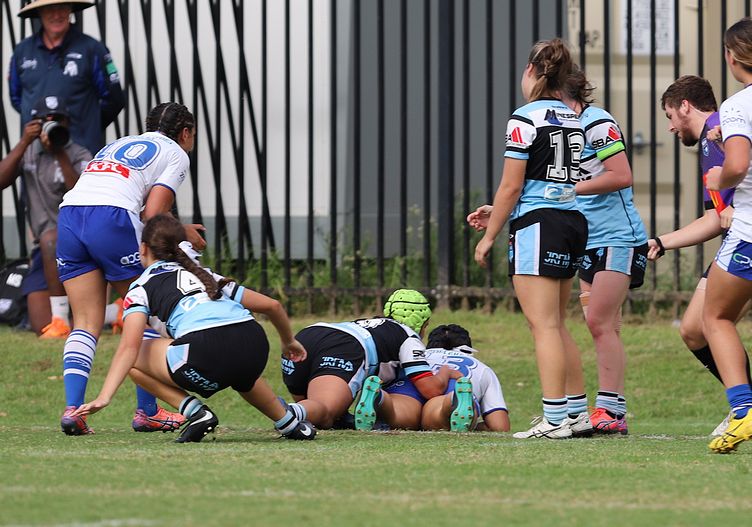 TGC Rnd 8 SHARKS vs BULLDOGS
