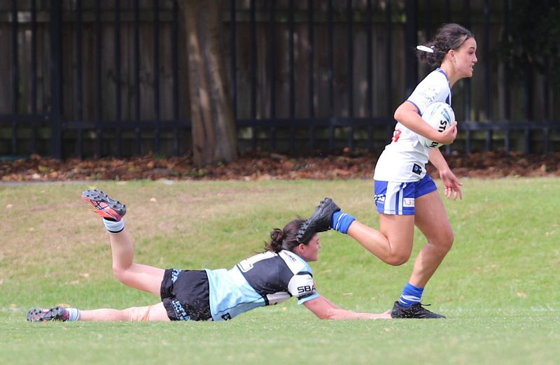TGC Rnd 8 SHARKS vs BULLDOGS
