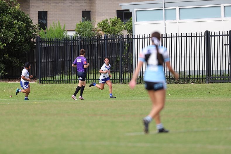 TGC Rnd 8 SHARKS vs BULLDOGS