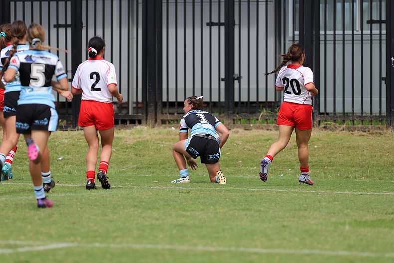 HNWP Rnd 8 SHARKS vs DRAGONS