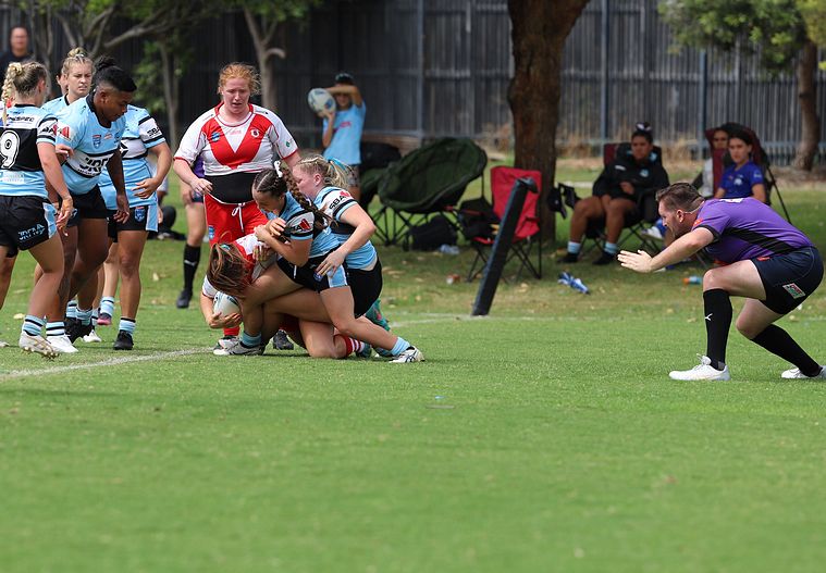 HNWP Rnd 8 SHARKS vs DRAGONS