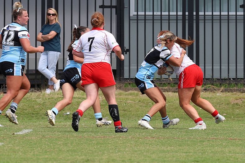 HNWP Rnd 8 SHARKS vs DRAGONS