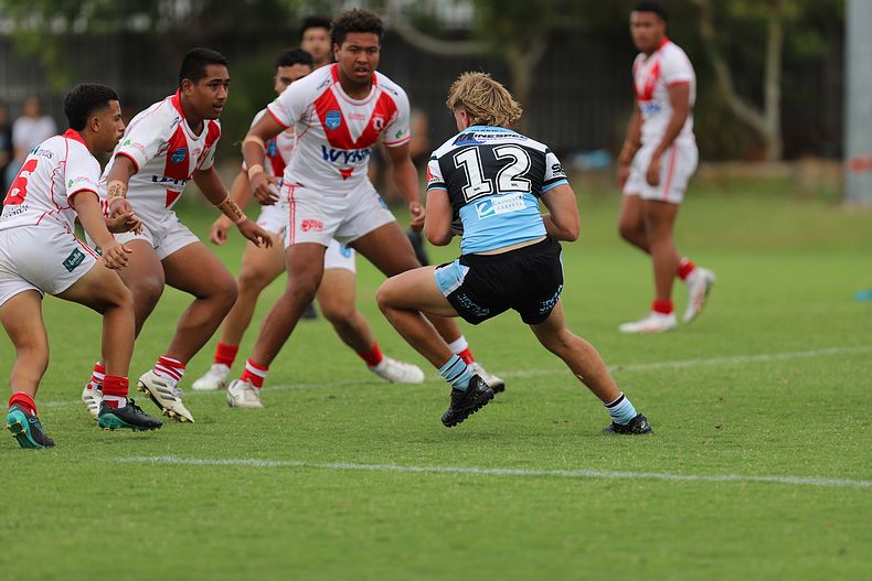 HMC Rnd 8 SHARKS vs DRAGONS
