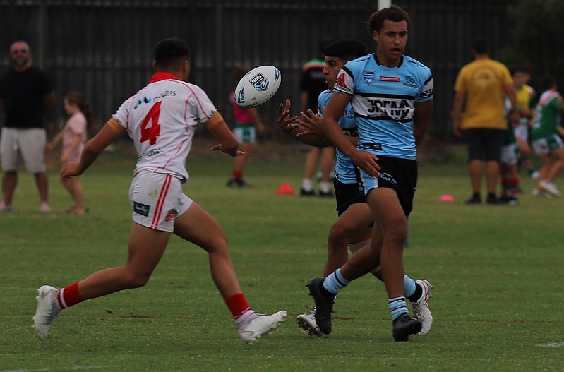 HMC Rnd 8 SHARKS vs DRAGONS