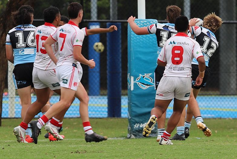 HMC Rnd 8 SHARKS vs DRAGONS