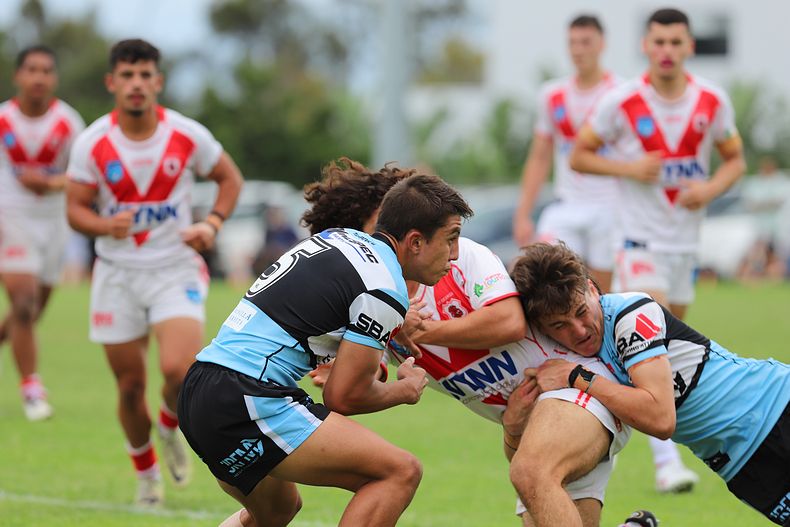 HMC Rnd 8 SHARKS vs DRAGONS
